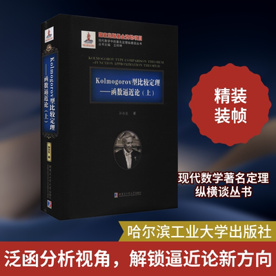 Kolmogorov型比较定理——函数逼近论(上) 哈尔滨工业大学出版社 孙永生 著 数学QG