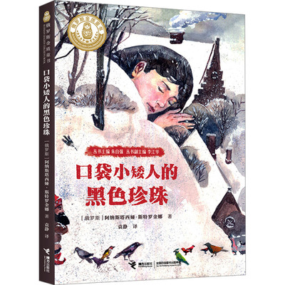 口袋小矮人的黑色珍珠 接力出版社 (俄罗斯)阿纳斯塔西娅·斯特罗金娜 著 袁静 译 QG