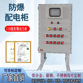 防爆配电箱软启动柜变频器柜IIB级IIC级动力照明控制箱开关空电箱