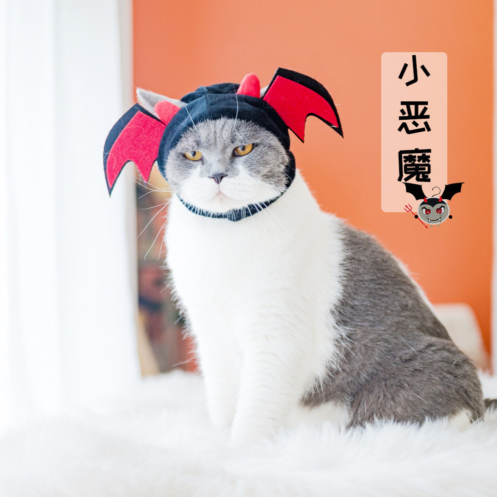 2023新款 跨境 猫咪头套可帽子