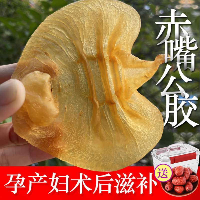 6年湛江赤嘴公胶 深海花胶赤嘴公胶赤嘴鱼胶陈年老胶鱼胶花胶干货