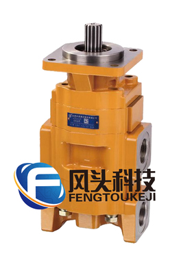 供应合肥长源齿轮泵CBGTC2100-2080-2063液压油泵