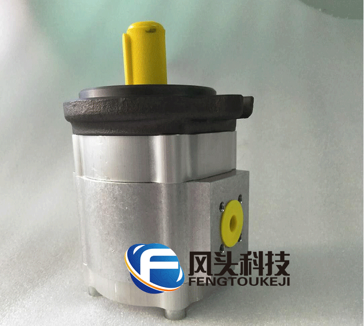 ECKERLE艾可勒齿轮泵EIPS2-025RA04-11-S111治金注塑机械液压油泵