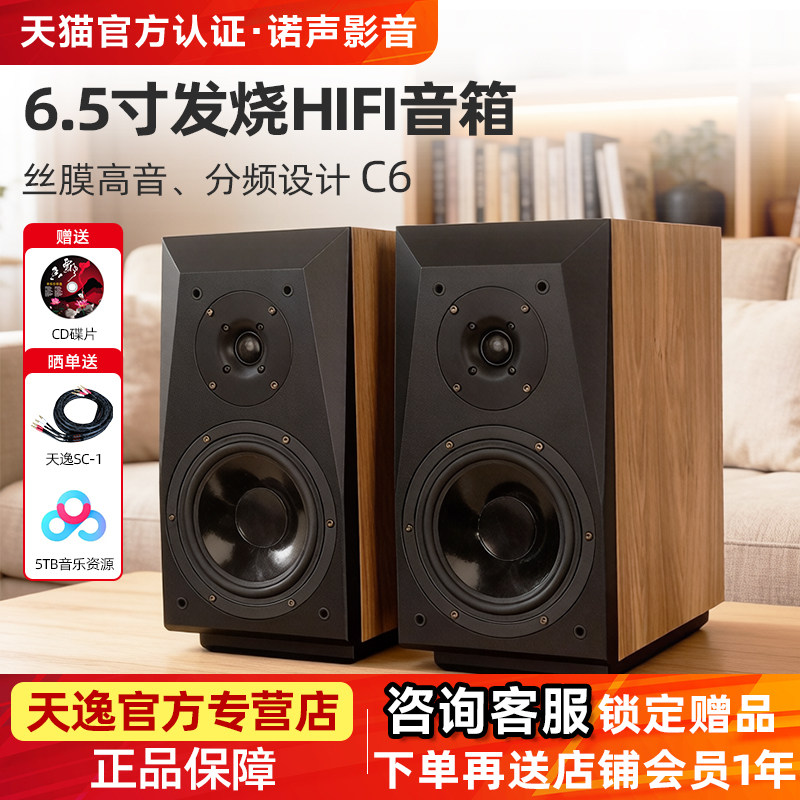 Winner/天逸 童笛C6高保真发烧人声HiFi立体声2.0无源书架音箱