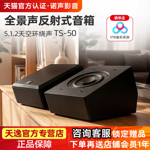 天逸TS-50家庭影院天空反射音箱