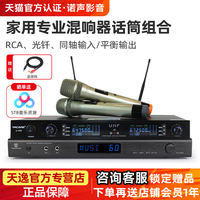 Winner/天逸AD-308专业卡拉ok混响器ktv数字前级效果器话筒音响组