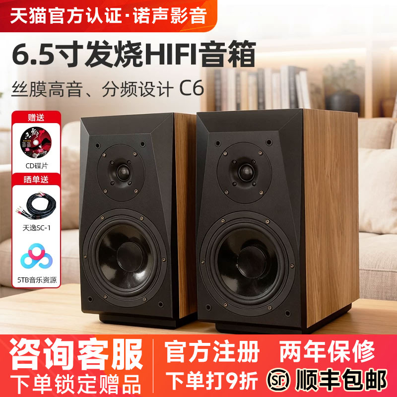 Winner/天逸 童笛C6高保真发烧人声HiFi立体声2.0无源书架音箱