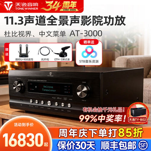 天逸AT-3000家庭影院11.3功放机