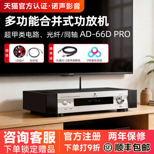 天逸AD-66DPRO超甲类多功能功放
