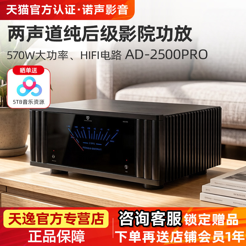 天逸AD-2500 PRO功放高保真立体两声道发烧家用570瓦大功率后级