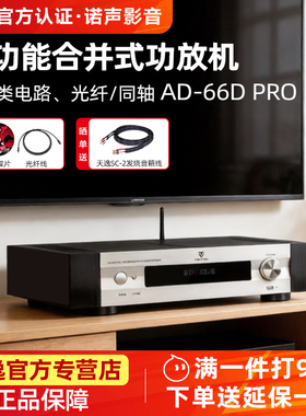 Winner/天逸AD-66DPRO超甲类合并式hifi功放机USB蓝牙解码86D/99D