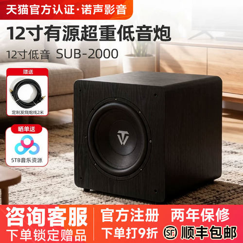 天逸2000大功率12寸有源重低音炮