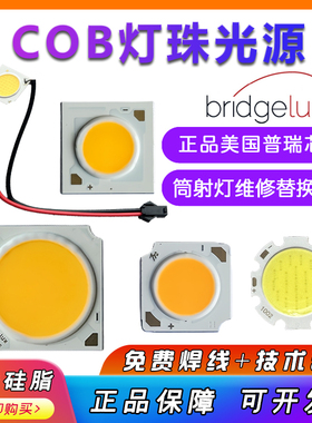 COB灯珠高亮30瓦灯芯7w12wLED面光源轨道灯筒射灯维修替换COB灯板