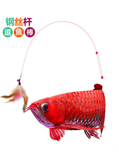 龙鱼幼苗金龙鱼活鱼逗鱼棒练手印尼红龙鱼鱼苗逗鱼玩具训鱼高手