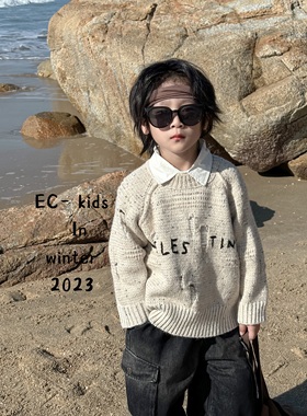 尔菲梵EC潮牌小童装秋冬天季款男宝长袖纯棉抗起球破洞毛衣针织衫