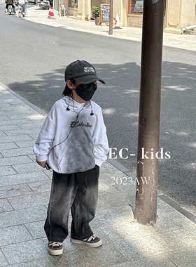 尔菲梵EC潮牌小童装秋春天季款男宝长袖纯棉渐变连帽英文卫衣上衣