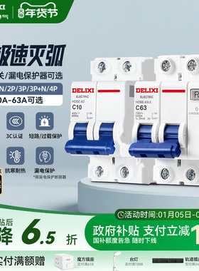 德力西空气开关断路器家用漏电保护器2P63a电闸总空开带漏电保护