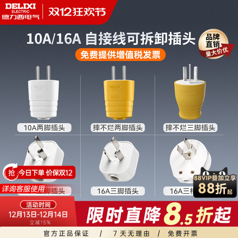 德力西插头10啊6a二三脚