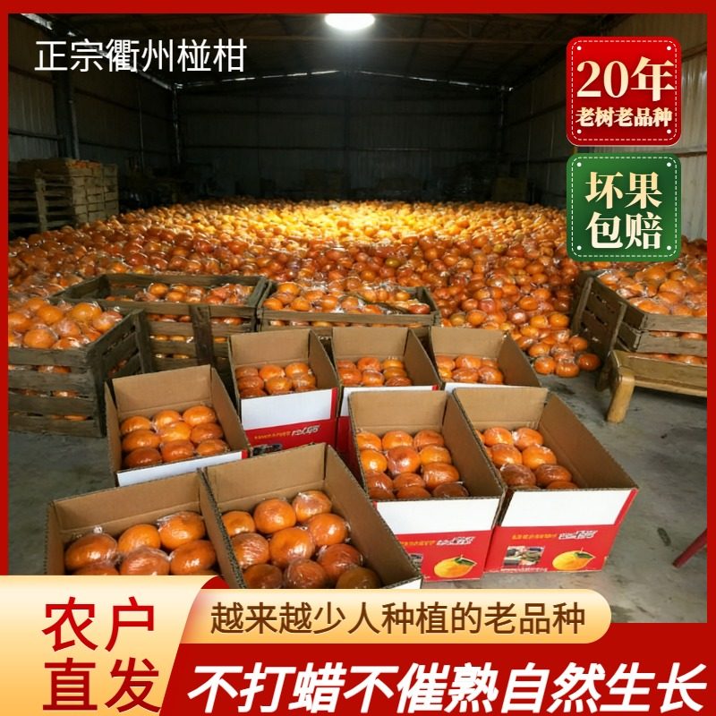 活动精选衢州椪柑新鲜橘子自家种植绿色健康孕妇水果精品橘子,水产肉类/新鲜蔬果/熟食,桔子,淘宝优惠券,粉丝福利购,淘宝优惠卷