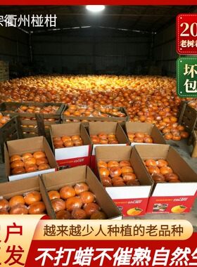 活动精选衢州椪柑新鲜橘子自家种植绿色健康孕妇水果精品橘子