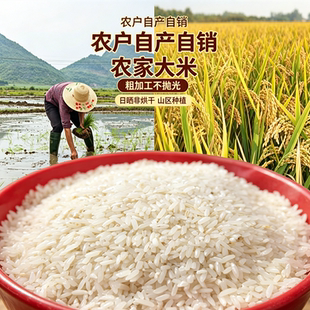 浙江农家大米杂交晚稻侬控米香米非圆长粒米新米自种大米真空装