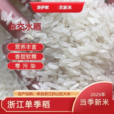 浙江农家自种大米新磨抛光长粒