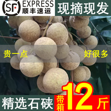 正宗广西新鲜龙眼现摘当季水果桂圆石硖储良龙眼整箱5斤10斤包邮