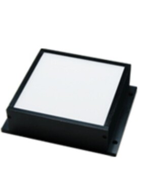 CCS西西爱视 红外照明 LDL-100X100IR2-940