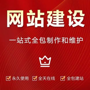 网站建设开发设计网页企业搭建网站开发与制作网站商城模板独立站