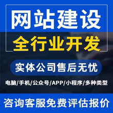网站建设网页设计企业搭建网站开发与制作网站商城模板独立站开发