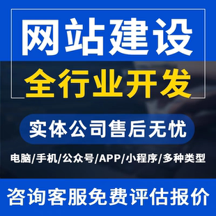 网站建设网页设计企业搭建网站开发与制作网站商城模板独立站开发