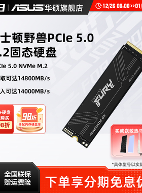 金士顿野兽FURY PCIE5.0 1T/2T/4T华硕笔记本台式电脑固态硬盘SSD
