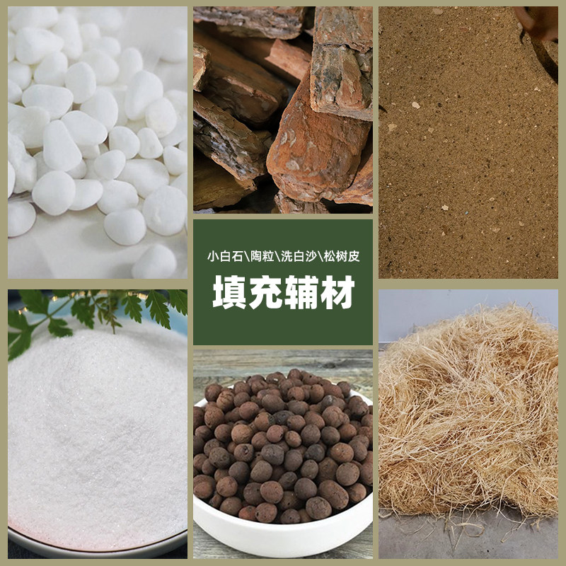 海虹软装小石子陶粒装饰家居室内落地假绿植造景搭配细沙景观材料