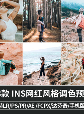 L013-LR预设INS网红服装肖像PR/FCPX/达芬奇/LUT手机滤镜/PS动作