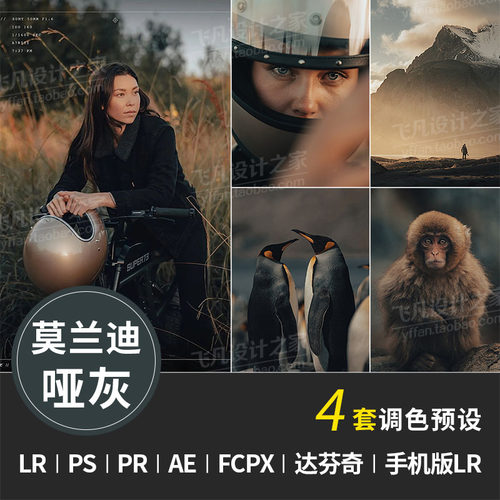 LR142-ins莫兰迪高级哑灰旅拍色调PR/PS/FCPX/达芬奇/AE/LUT预设