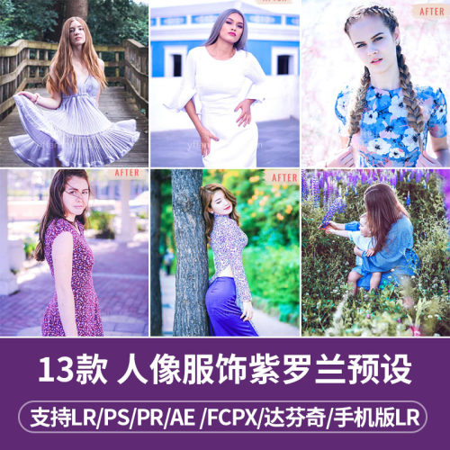 L012-LR预设INS唯美高贵紫罗兰典雅PR/FCPX/达芬奇/LUT手机滤镜