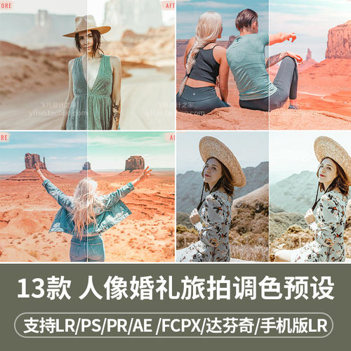 L006-LR预设人像婚礼旅拍派对INS网红PR/FCPX/达芬奇/LUT手机滤镜