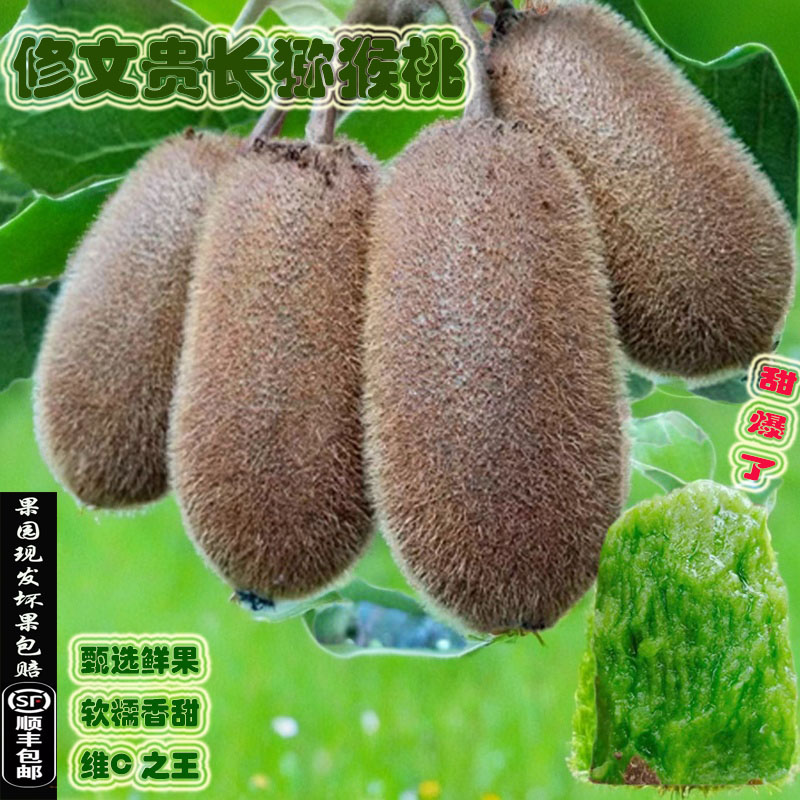 绿心孕妇水果贵长猕猴桃