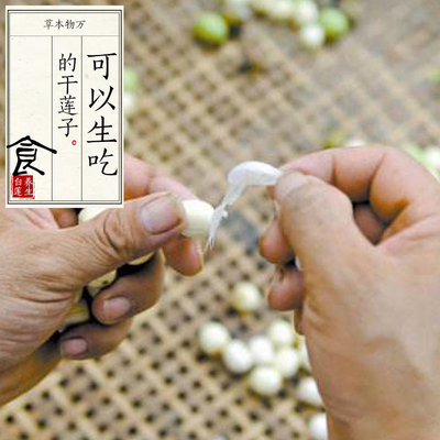 万物本草宣平贡莲去心白莲
