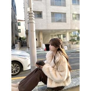 大翻领巨柔软加厚保暖仿真环保毛毛短外套女皮毛一体新品 AHY