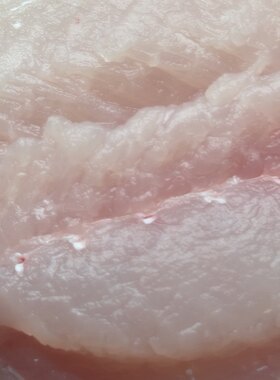 鲢鱼肉鱼丸食材微山湖满三包邮