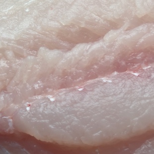 新鲜花鲢鱼柳鳙鱼肉去骨净肉冷冻淡水生鲜现杀整块鱼丸原料低脂