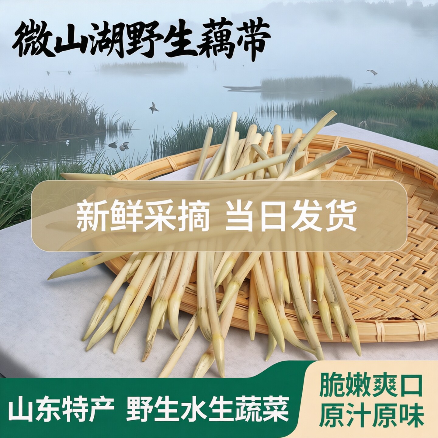微山湖藕芽新鲜藕带藕肠藕尖藕箭散装特色野生水生蔬菜山东微山湖