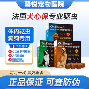 法国进口犬心保狗狗体内驱虫药去蛔虫钩虫预防心丝虫牛肉味内服药