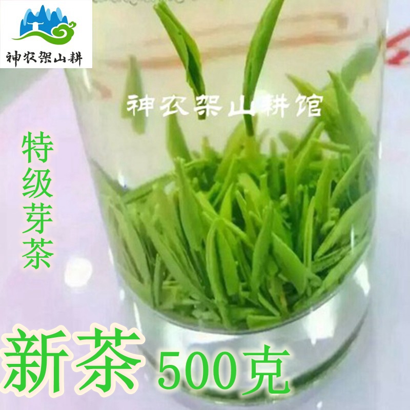 神农架海拔两千米的茶园2020新茶毛尖绿茶特级高山云雾春茶新茶