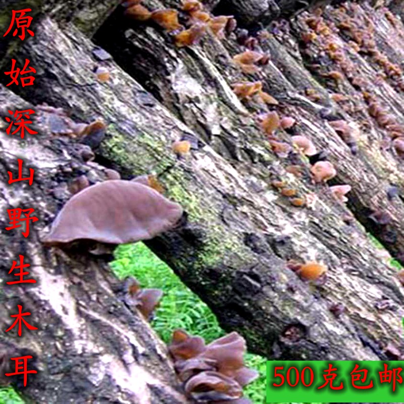 神农架长寿村正宗特产农家无根耳散装黑木耳干货500g包邮纯野生