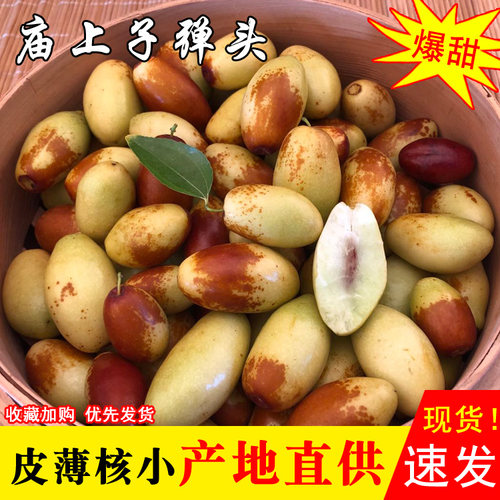 现货子弹头枣冬枣现摘脆甜新鲜时令应季大红枣子水果孕妇老品种枣
