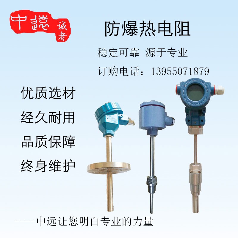 防爆热电阻pt100 铠装双支热电偶温度传感器一体化现场显示温度计