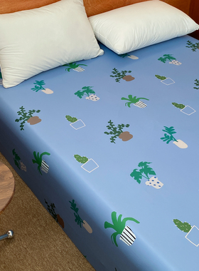 植物学家 原创绿植60S全棉贡缎床单床笠松弛简约风160×240cm单件