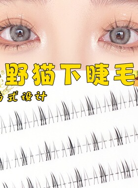 小野猫超自然朵毛下睫毛